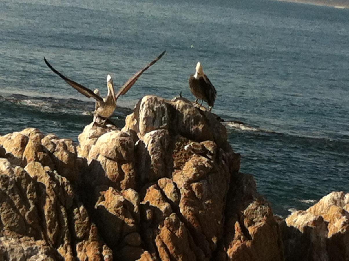 B&B Patrimonial Little Castle Vina del Mar Zewnętrze zdjęcie